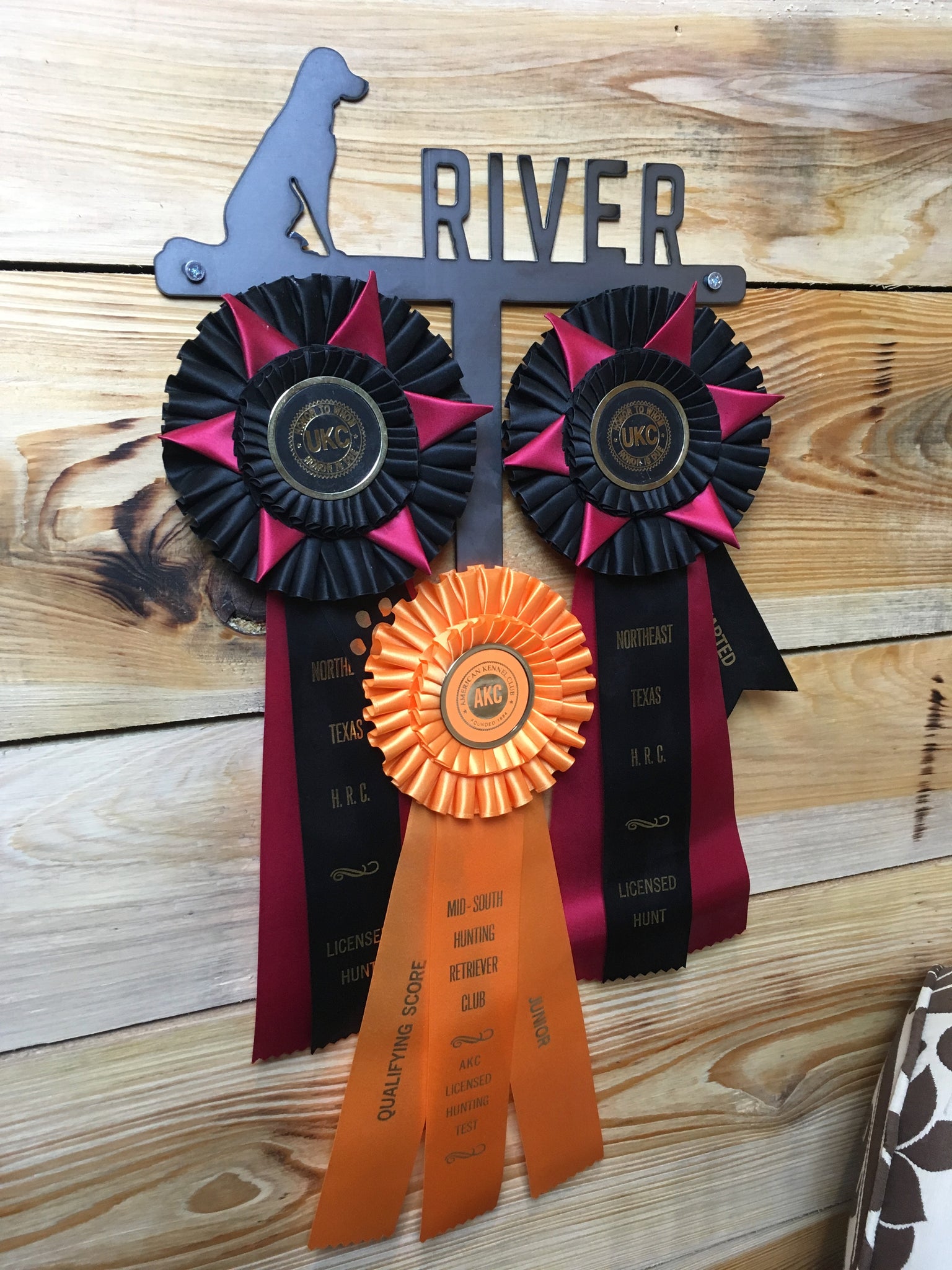Dog Ribbon Frame Personalized Dog Training Ribbon Display – Marengo Bend