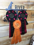 Personalized Dog Training Ribbon Display